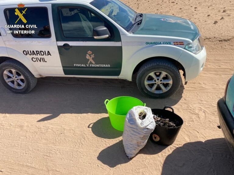 Denunciados por capturar de manera furtiva 128 kilos de Mejillón Canario