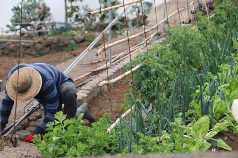 El Gobierno impulsa el relevo generacional en el campo, con la concesión de ayudas a jóvenes