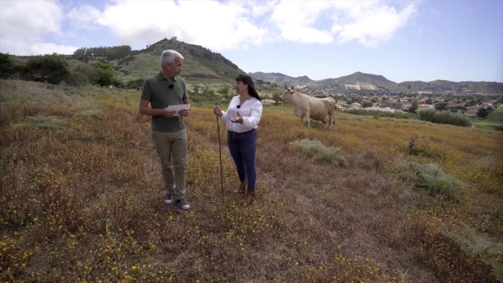 'Territorio REF' cuenta cómo afecta a nuestra economía la ganadería