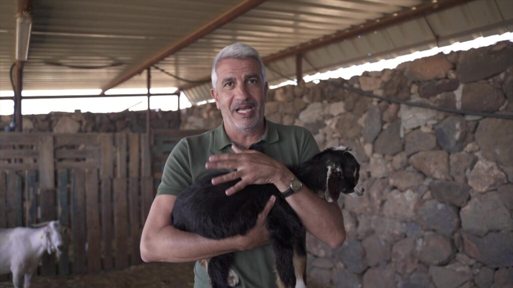 'Territorio REF' cuenta cómo afecta a nuestra economía la ganadería