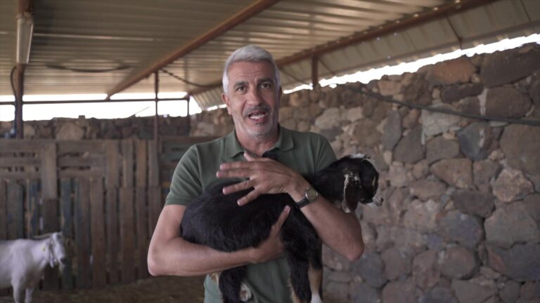 ‘Territorio REF’ cuenta cómo afecta a nuestra economía la ganadería