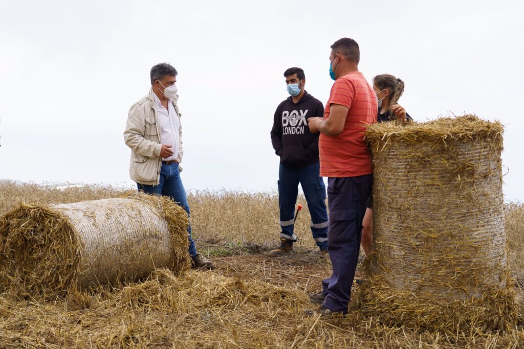 Cabildo de Tenerife destina 421.000 euros al impulso del forraje en la isla