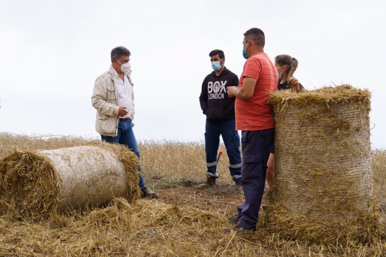 Cabildo de Tenerife destina 421.000 euros al impulso del forraje en la isla