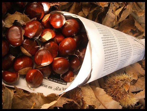 El robo de castañas provoca descontento entre los agricultores palmeros