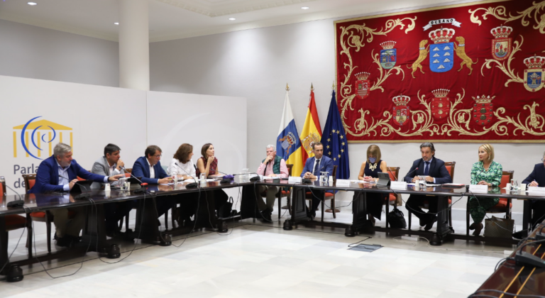 Los cabildos apoyan la nueva Ley de Juventud y modificaciones en relación a la recuperación de La Palma