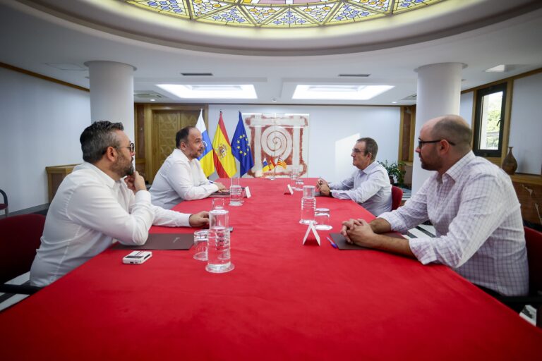 Las cofradías canarias piden aplazar la energía eólica marina hasta conocer su impacto en la pesca