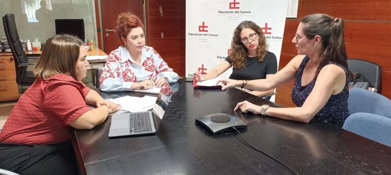 Diputación del Común solicitará un informe a Sanidad para aclarar si persiste la suspensión de contratos por embarazo