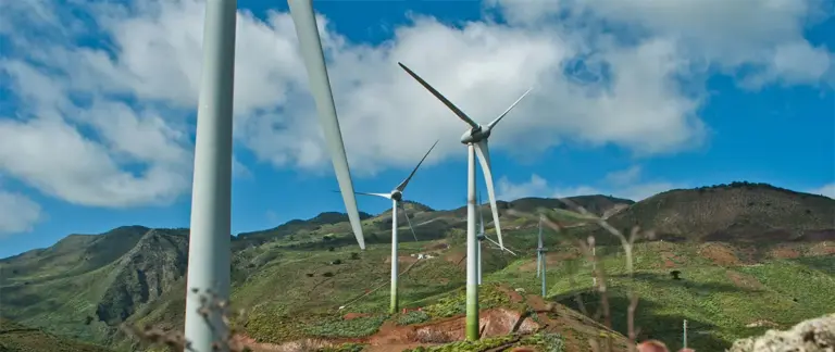 Endesa suministrará electricidad renovable al Ayuntamiento de San Andrés y Sauces