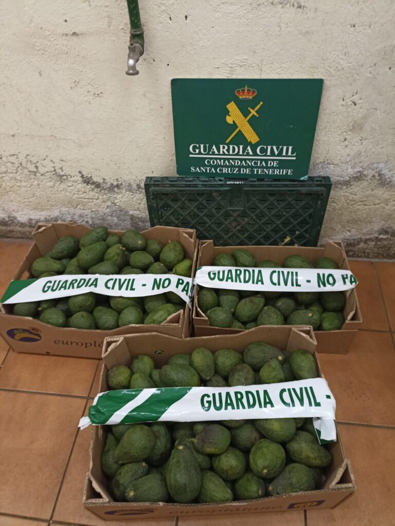 La Guardia civil aumenta la vigilancia por el robo de aguacates