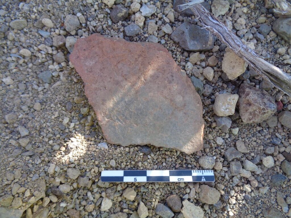 Cerámica aborigen (002) (1)