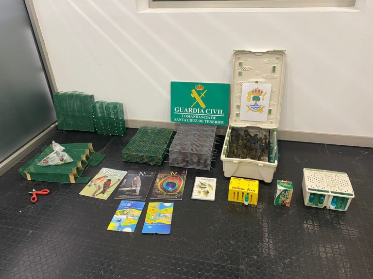 Cuatro detenidos y 119 aves intervenidas en el Aeropuerto Tenerife Sur