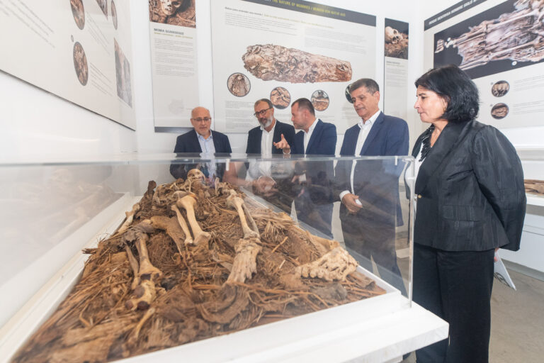 El Cabildo, el Gobierno canario y el Ayuntamiento apoyan que el Centro de Interpretación de La Fortaleza se convierta en un parque arqueológico