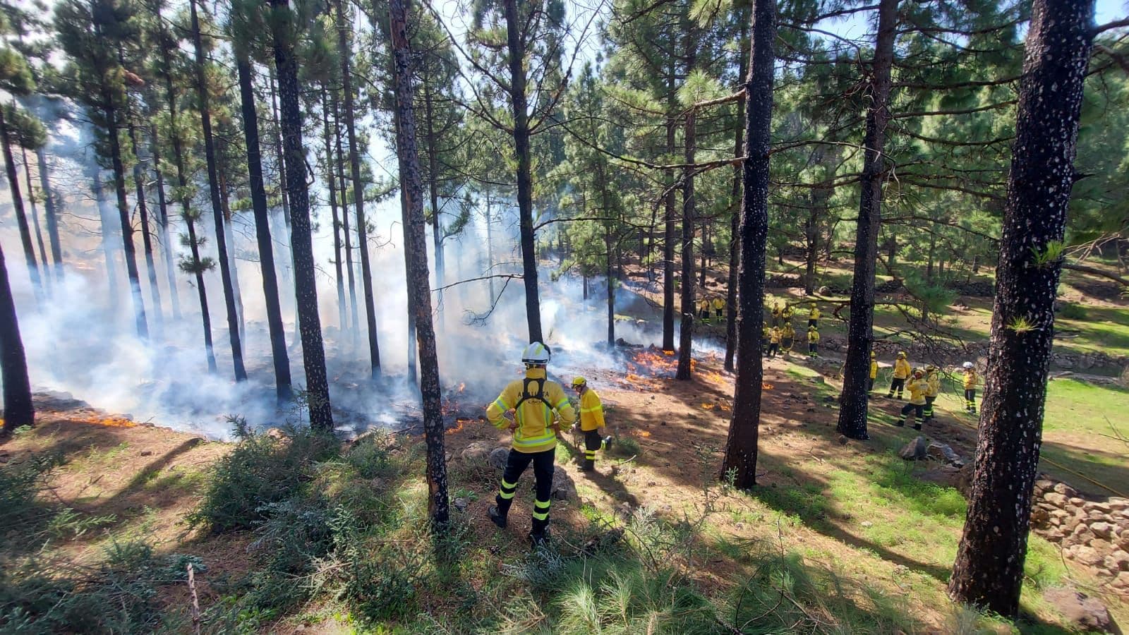 El Gobierno prepara un simulacro de incendio forestal en Moya, en Gran Canaria