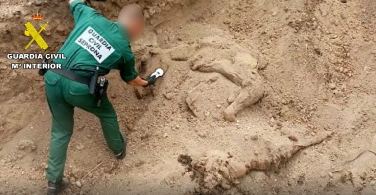 Investigan a un hombre por matar a un caballo de un disparo en Gran Canaria