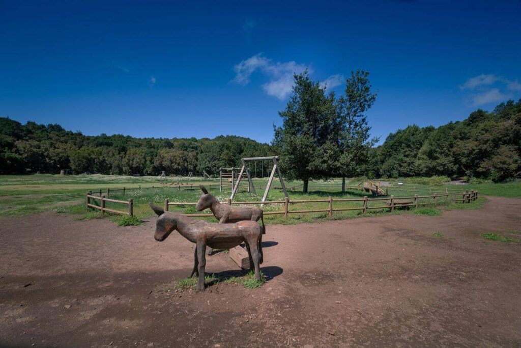 La Laguna Grande El área recreativa más importante de La Gomera recupera todos sus servicios. La Laguna Grande vuelve a permitir el uso de fogones y hornos