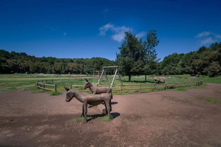 El Garajonay recupera su actividad