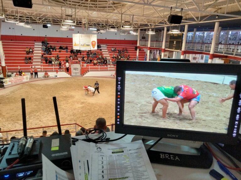 Tijarafe Guanche 12 -CL Rosario 8