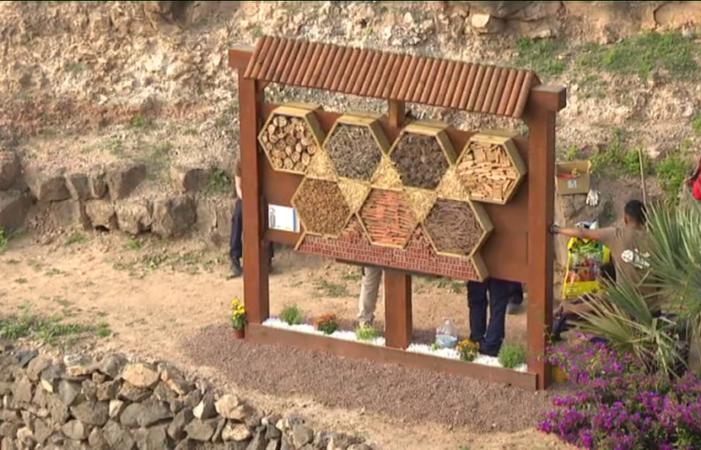 Un hotel para insectos en Fuerteventura