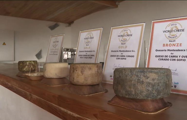 Los quesos canarios reconocidos con 39 medallas