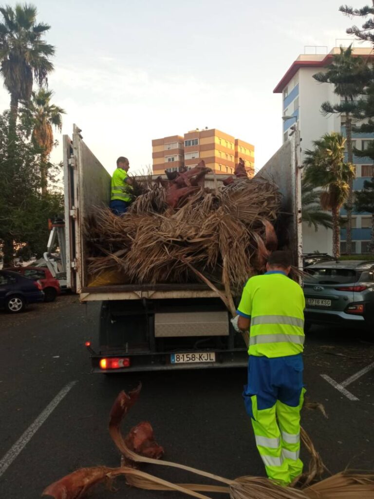 Los servicios municipales de emergencias y limpieza del Ayuntamiento de Las Palmas de Gran Canaria atendieron este martes un centenar de incidencias provocadas por el viento 
