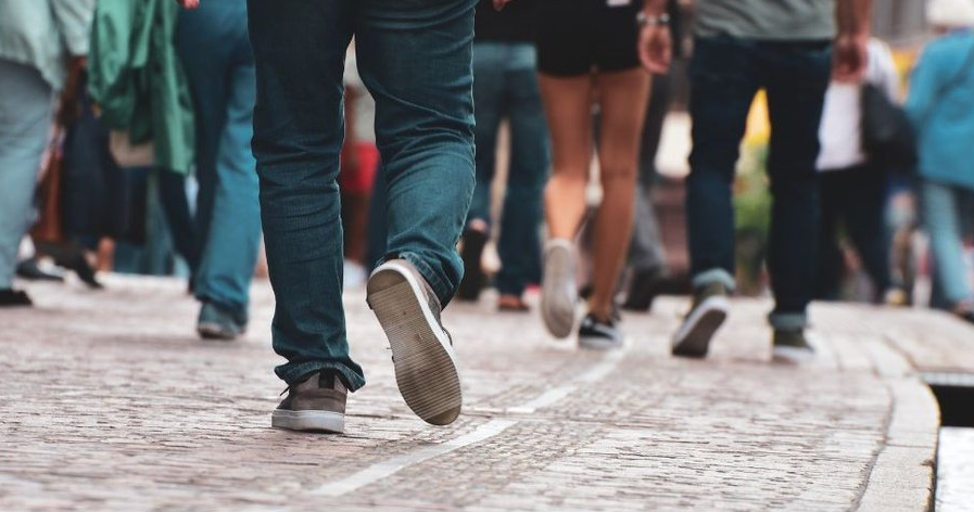 La Cámara avala el dictamen de la Renta Canaria 