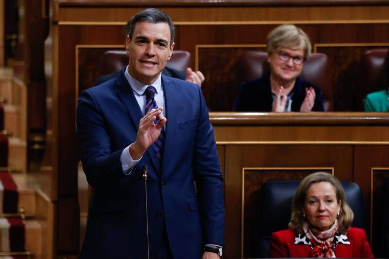 Sánchez en Congreso. Efe