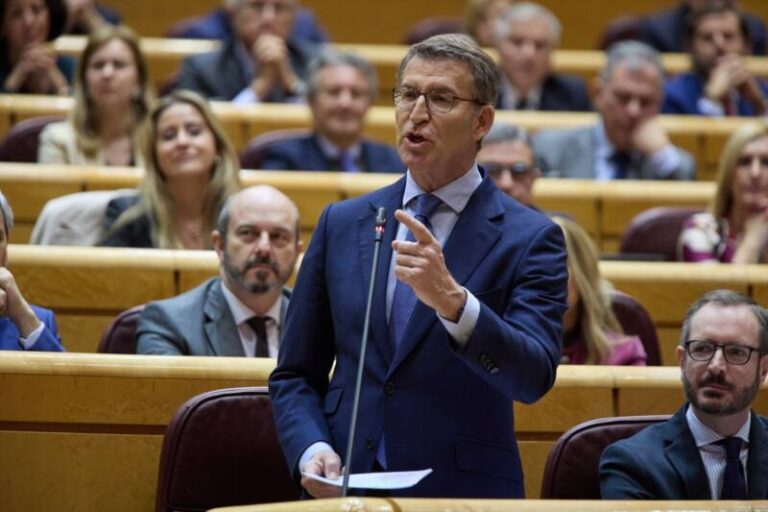 Sánchez acusa al PP de «enmudecer» al Parlamento y Feijóo le pide que deje de reducir a «cenizas» la democracia