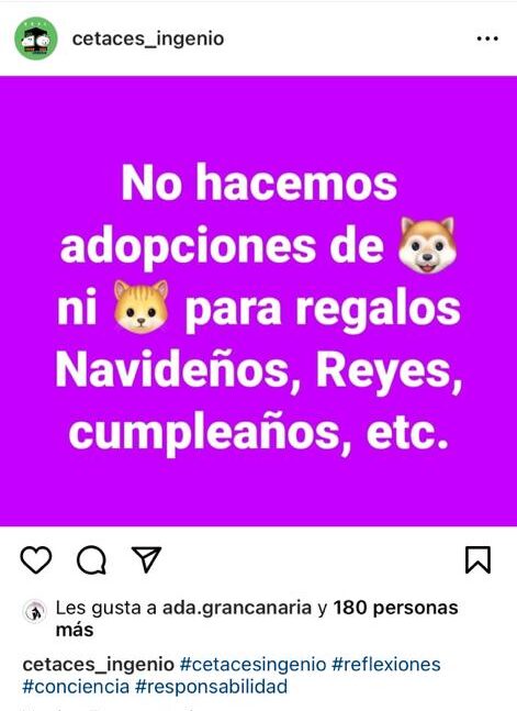 Varias protectoras de animales paralizan adopciones en Navidad