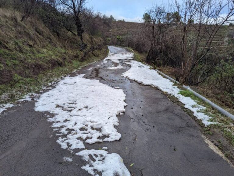 Primera gran nevada del invierno