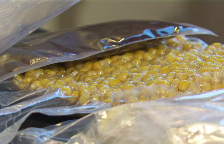 El I Foro Gastroinnova presenta técnicas innovadoras para la gastronomía en Canarias