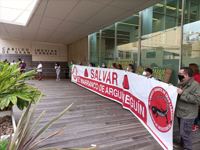 Ben Magec denuncia ante el Seprona y la ACPMN las obras de REE en el barranco de Arguineguín (Gran Canaria)
