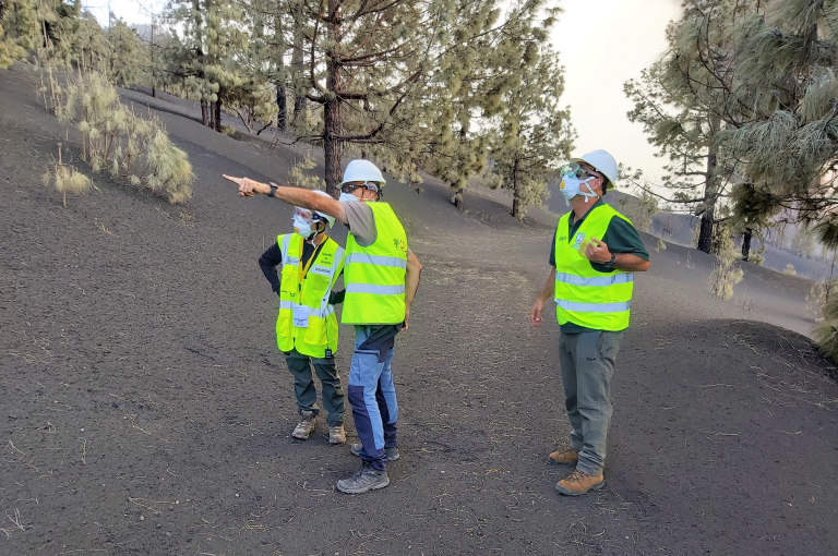 La erupción de La Palma enseña cómo también los volcanes moldean la evolución