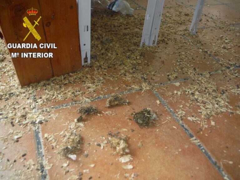 Hallan animales muertos de inanición en una tienda de mascotas de Tenerife