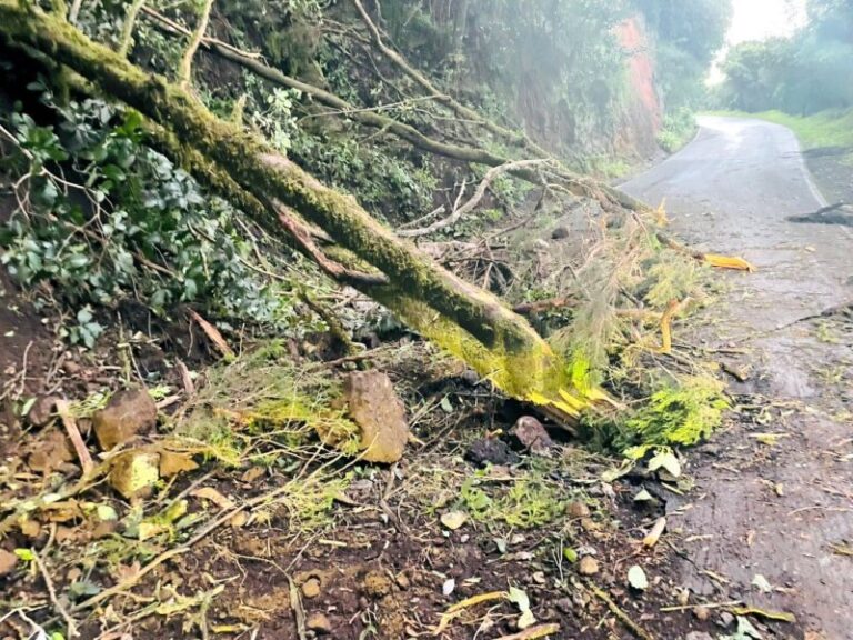 Desprendimientos en Anaga obliga al corte del tráfico en la TF12