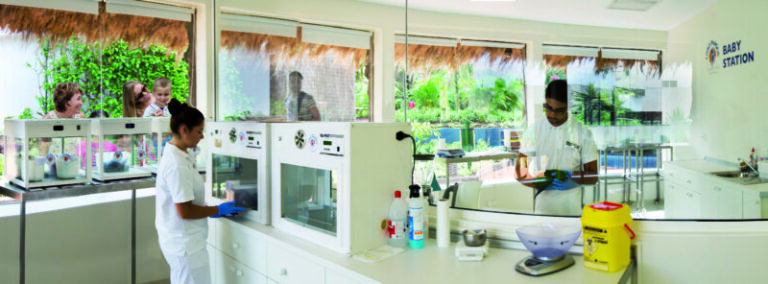 Equipos de investigación estudian en Tenerife la capacidad de los animales para planificar o recordar el pasado