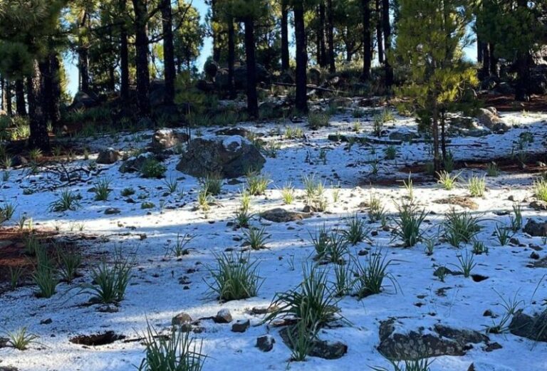 Los efectos de la DANA dejan nieve en las cumbres de las islas