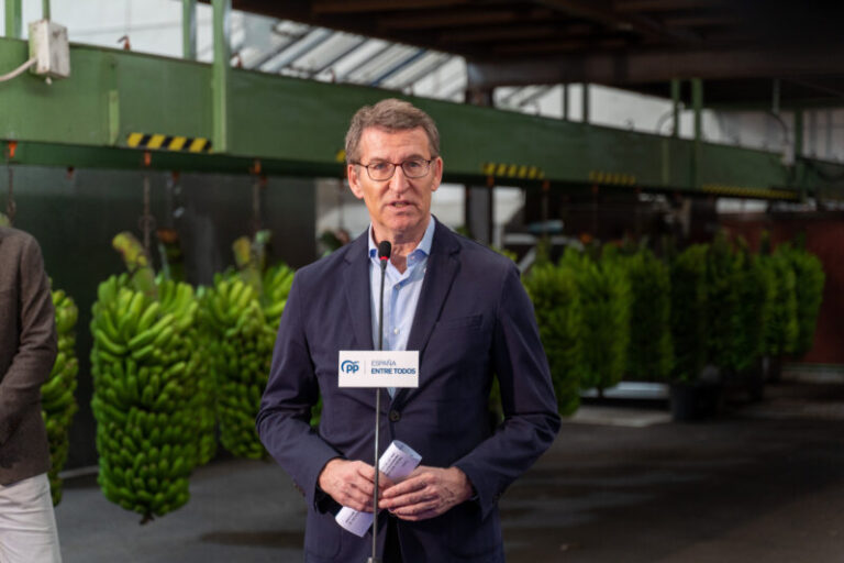 Feijóo propondrá en el Congreso un plan plurianual de 1.000 millones de euros para la recuperación de La Palma