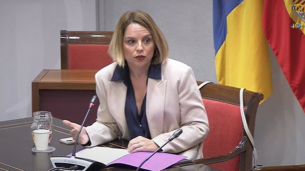 Santana: "El consentimiento debe ser el eje central de la ley del sí es sí"