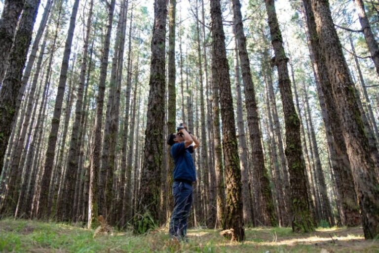 Tenerife bate récord en 2022 con un gasto en rodajes de 101 millones