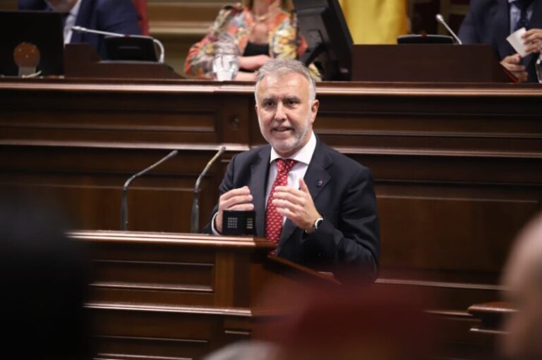 Torres califica de «manipulador y sectario» el dictamen del Parlamento sobre las mascarillas