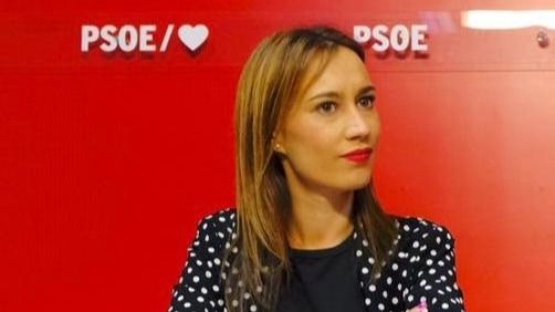 «Hay comportamientos que no representan los valores del PSOE»