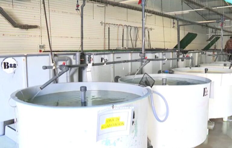 El proyecto Thinkinazul busca mitigar los efectos del cambio climático