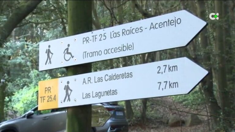 El Cabildo de Tenerife presenta la app ‘Tenerife ON’