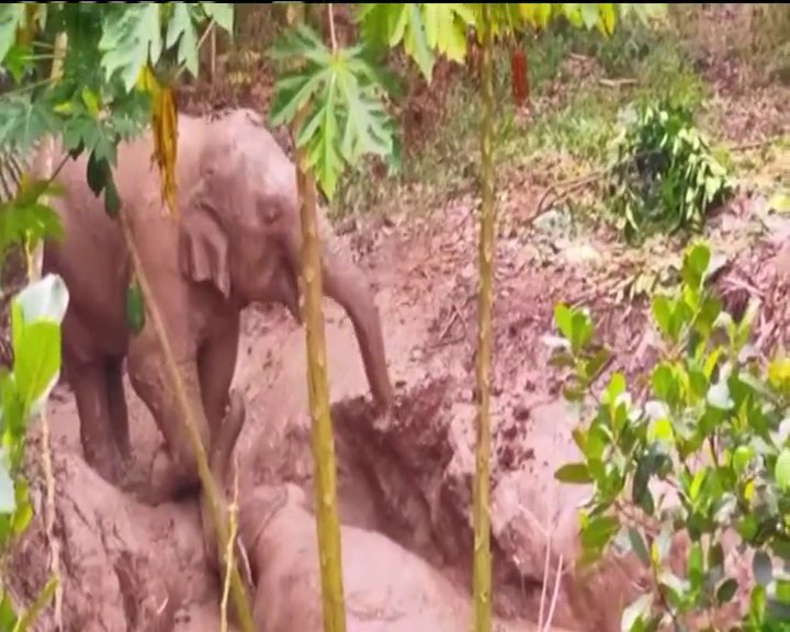 Canarias Digital nos trae el resumen de la semana