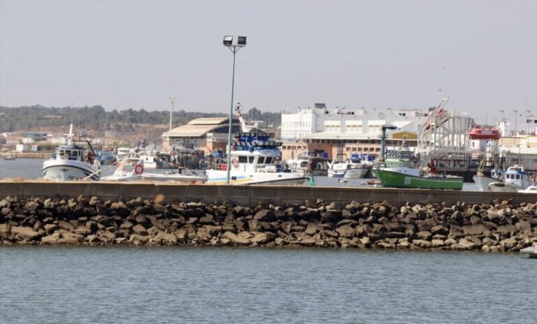 Huelga de los inspectores de Pesca en todos los puertos de España este martes