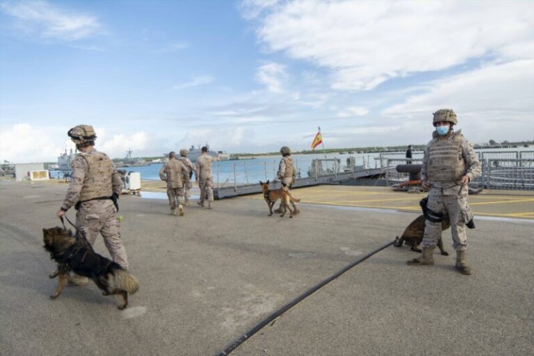 La Unidad de Seguridad de Canarias participa en los ejercicios caninos de la Armada en Cartagena, Murcia
