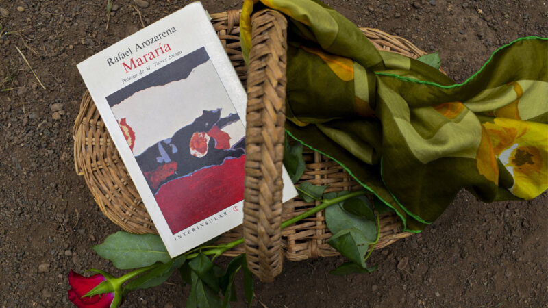 Seis títulos de autoría canaria para el Día Mundial del Libro