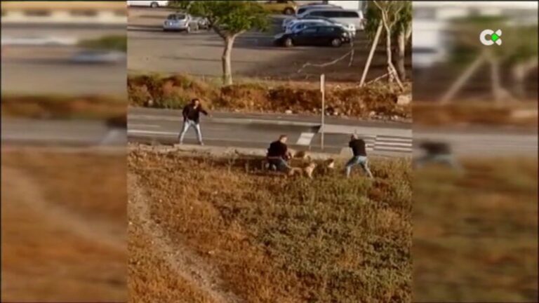 El sindicato JUPOL considera «intachable» la actuación de los policías que dispararon contra tres perros en una operación antidroga