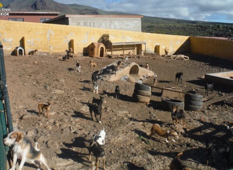 Investigan una asociación dedicada al tráfico ilegal de animales con destino al Reino Unido