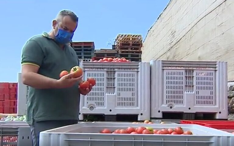 CCOO denuncia la precariedad laboral del campo en Canarias